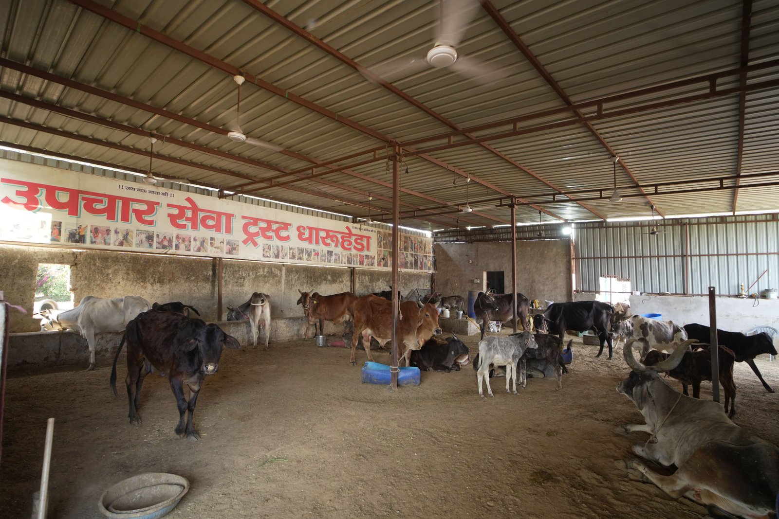 Gaushala (Dharuheada, Rewari)